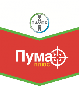 Пума Плюс, КЭ