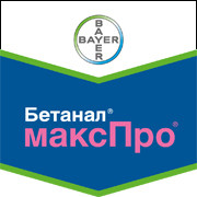 Бетанал максПро