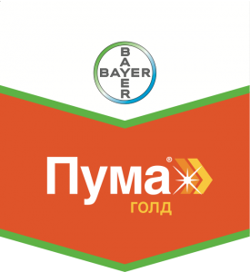 Пума Голд, КЭ