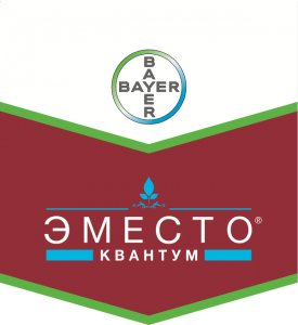 Эместо Квантум, КС