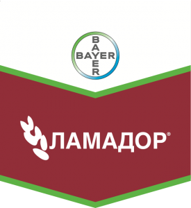 Ламадор, КС
