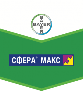 Сфера Макс, КС