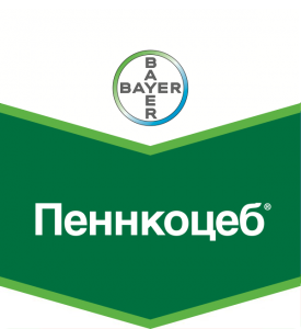 Пеннкоцеб, СП