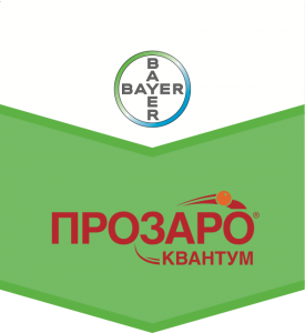 Прозаро Квантум, КЭ