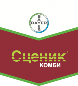 Сценик Комби, КС