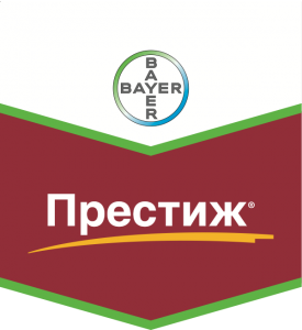 Престиж, КС