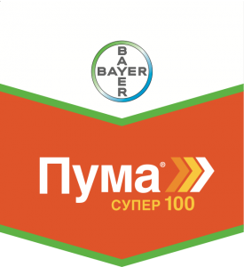 Пума супер 100, КЭ