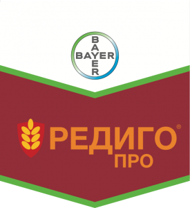 Редиго Про, КС