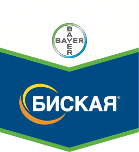 Биская, МД