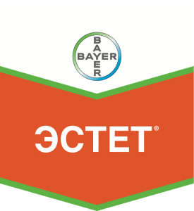 Эстет, КЭ