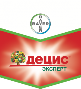 Децис Эксперт, КС