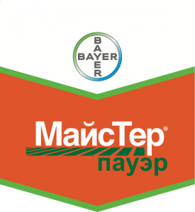 МайсТер Пауер, ВДГ