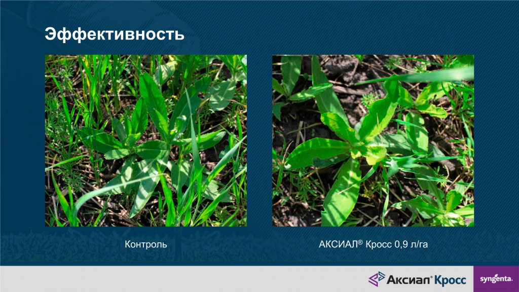 Аксиал Кросс 0.9.jpg Аксиал Кросс 0.9.jpg