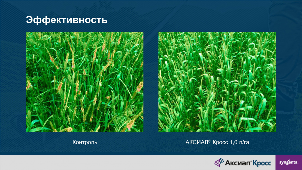 Аксиал Кросс 1л.jpg Аксиал Кросс 1л.jpg
