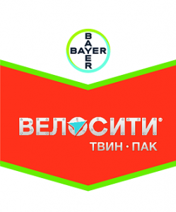 175-gierbitsidy-vielositi-tvin-pak.png 175-gierbitsidy-vielositi-tvin-pak.png