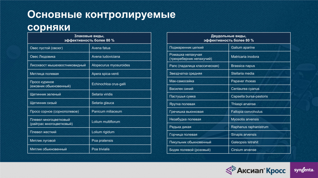 Аксиал Кросс.jpg Аксиал Кросс.jpg