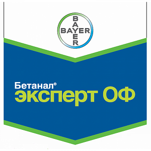 Бетанал Эксперт ОФ