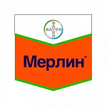 Мерлин, ВДГ