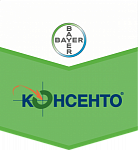 Консенто, КС
