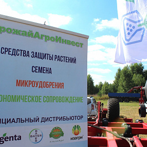 Фотогалерея ДЕНЬ ПОЛЯ - 2022, Кигинский район