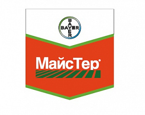МайсТер, ВДГ