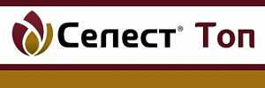 Селест Топ, КС