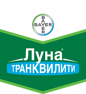 Луна Транквилити, КС