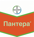 Пантера, КЭ