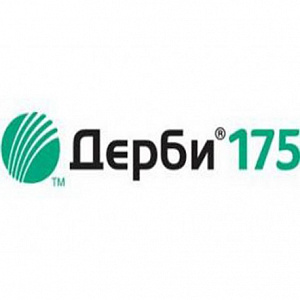 Дерби 175, КС
