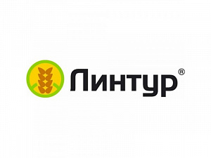 Линтур, ВДГ