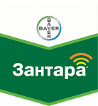 Зантара, КЭ