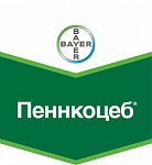 Пеннкоцеб, СП