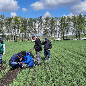 Фотогалерея Кросспродуктивный тренинг по сорным растениям и эффективным методам борьбы с ними.