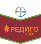 Редиго Про, КС