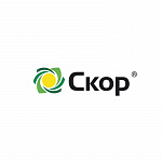 Скор, КЭ
