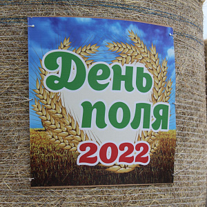 Фотогалерея ДЕНЬ ПОЛЯ - 2022, Янаульский район