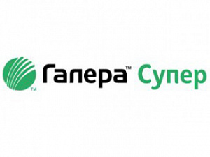 Галера Супер, ВР