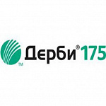 Дерби 175, КС