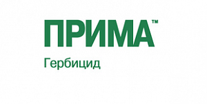 Прима, СЭ