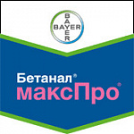 Бетанал максПро