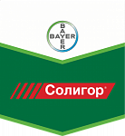 Солигор, КЭ