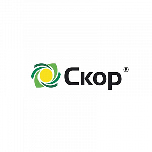 Скор, КЭ