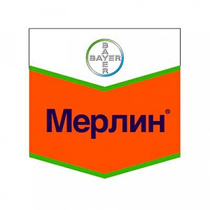 Мерлин, ВДГ